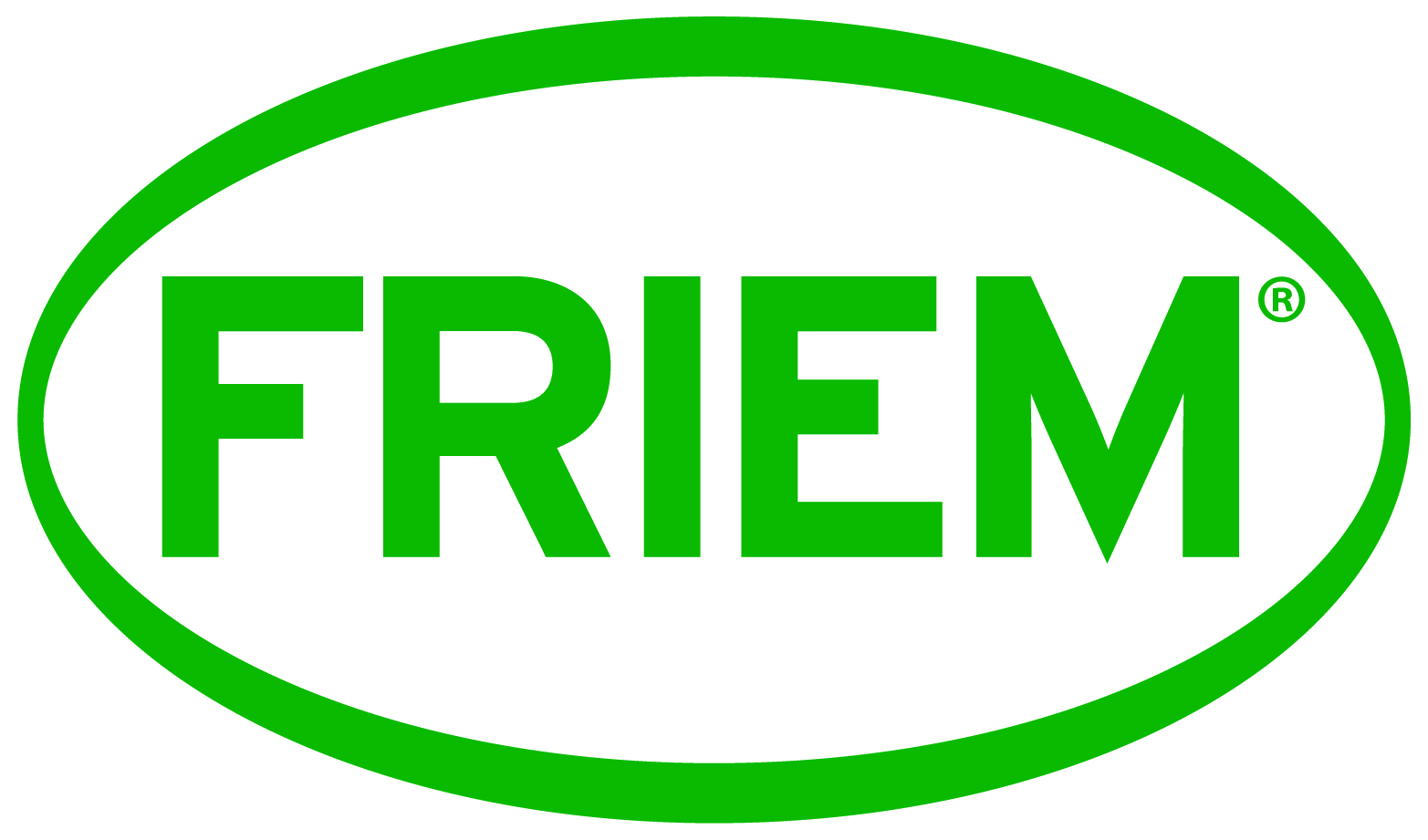 Logo FRIEM SPA